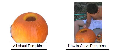 a pumpkin, and a man carving a pumpkin