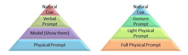 Two examples of prompting hierarchies in triangular shape.  On the left at the top of Triangle: Natural Cue, below that: Verbal Prompt. Below that: "Model(Show Them)". Below that: Physical Prompt.  On the right at the top of the traingle: Natural Cue.  Below that: Gesture Prompt. Below that: Light physical prompt. Below that: Full physical prompt