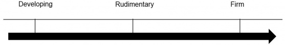 Vocabulary Continuum.  From the left: Developing, Rudimentary, Firm.  An arrow pointing from left to right beneath the words emphasizes the relationship.
