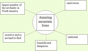 A graphic organizer describing various attributes of mountain lions